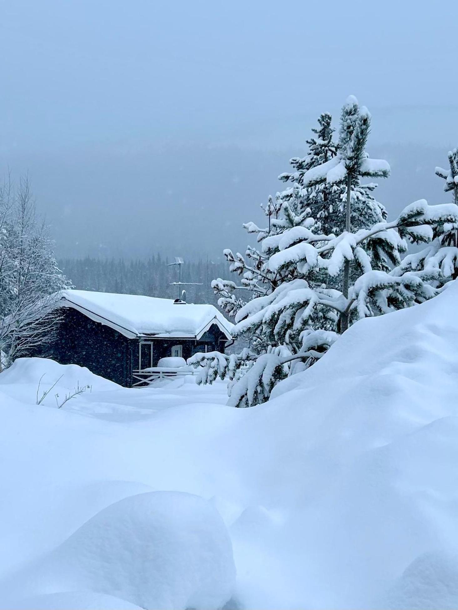 Nymon Mountain Lodge สเตอเตน ภายนอก รูปภาพ